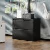 2 Drawer Lateral File Cabinet with Lock – Heavy-Duty Metal Filing Cabinet for Home Office, Space-Saving Wide Storage for Letter/Legal/A4/F4