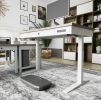 Electric Standing Desk