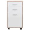 Kenner File Cabinet; 2-Drawer; Reclaimed Wood and White